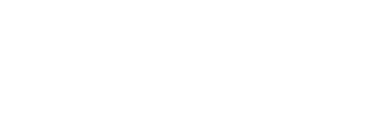 Logo La Revolución de lo Imperfecto